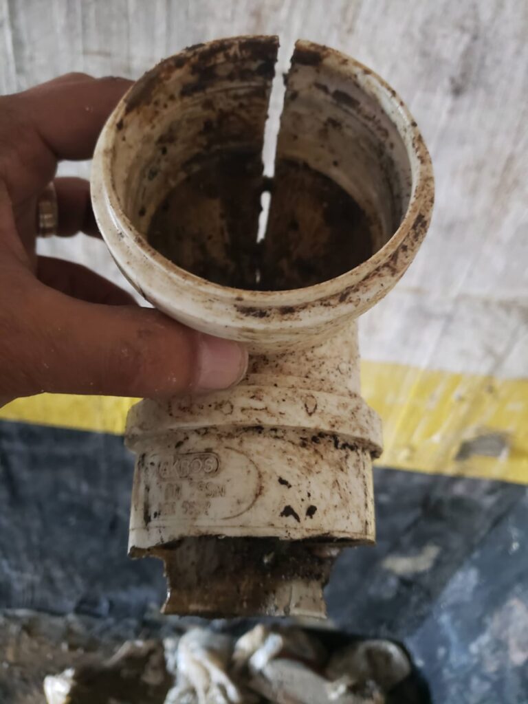 WhatsApp Image 2025-03-12 at 11.27.19 AM